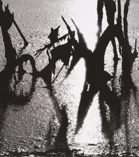 Hommage à Lucien Clergue